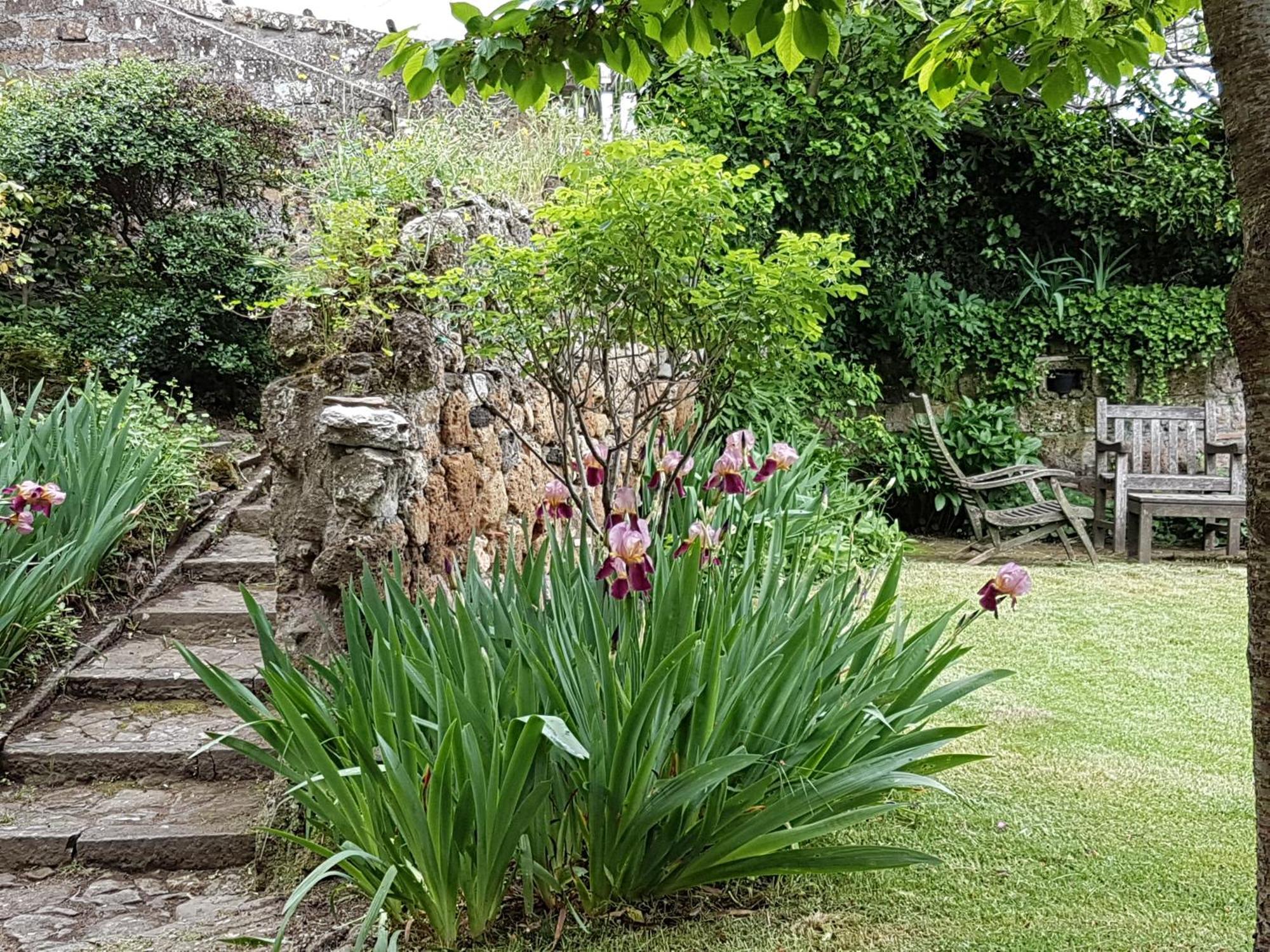Casa Con Vista Mozzafiato Su Civita Di Bagnoregio Villa Lubriano Exterior foto