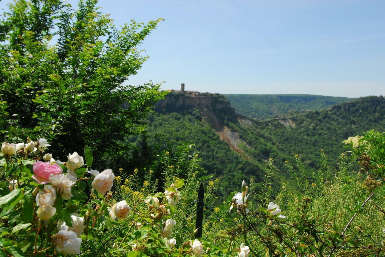Casa Con Vista Mozzafiato Su Civita Di Bagnoregio Villa Lubriano Exterior foto